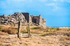 Bushiribana Gold Mill Ruins